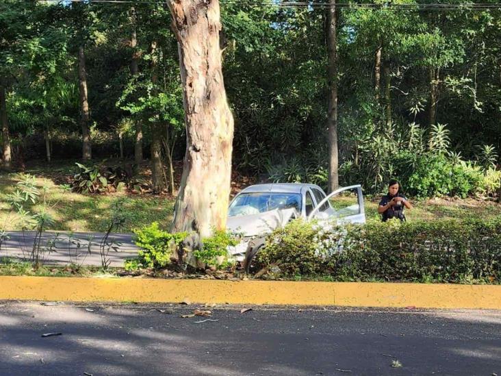 Chocan auto contra un árbol en la avenida Murillo Vidal, en Xalapa