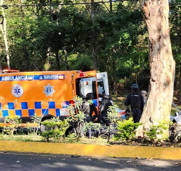 Chocan auto contra un árbol en la avenida Murillo Vidal, en Xalapa