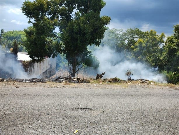 Incendio de pastizal causa alarma en zona residencial de Misantla