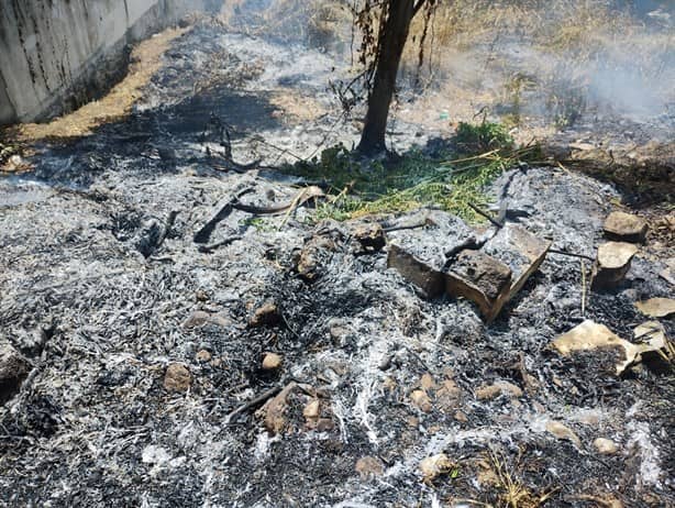 Incendio de pastizal causa alarma en zona residencial de Misantla