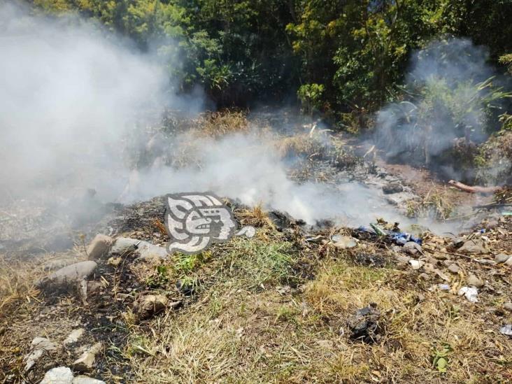 Incendio de pastizal causa alarma en zona residencial de Misantla