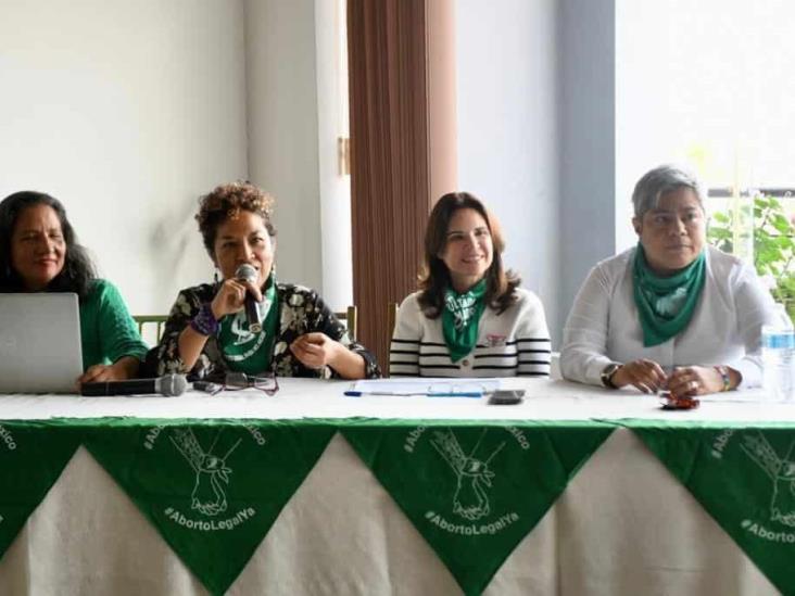 Exigen garantizar presupuesto y protocolos de Salud para interrupción legal del embarazo (+Video)