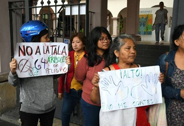 Alto a masacre de árboles, Xalapa perderá pulmón verde y captación de agua, aseguran (+Video)