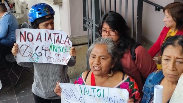 Alto a masacre de árboles, Xalapa perderá pulmón verde y captación de agua, aseguran (+Video)