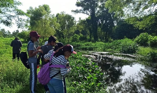 Impulsan observatorio de aves en la rivera del río Atliyac, en Paso de Ovejas