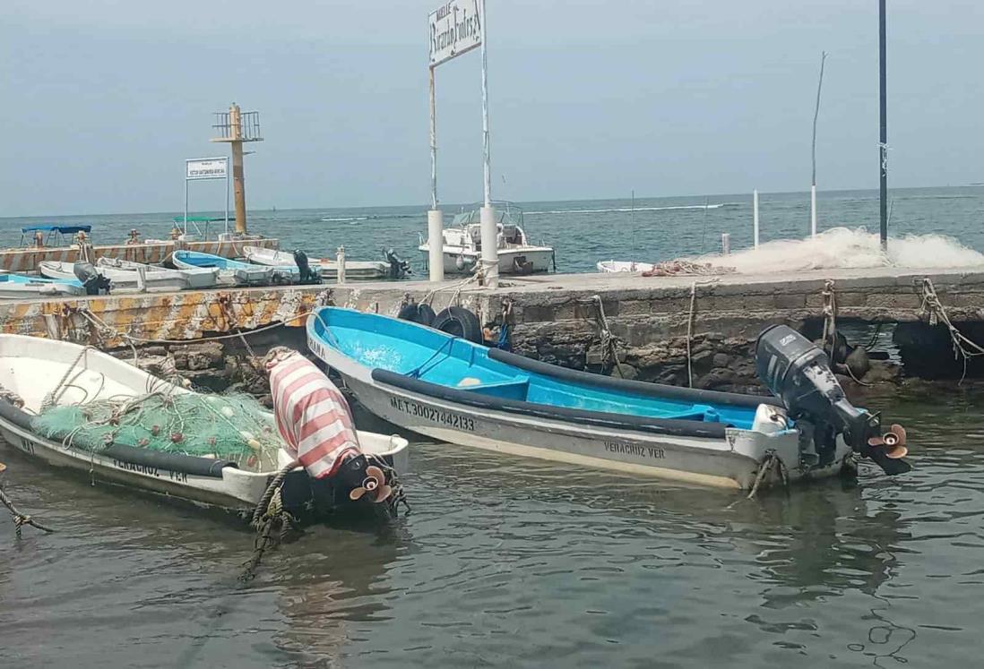 Un día malo para los pescadores de Veracruz eran 50 kilos, hoy son tres pescados