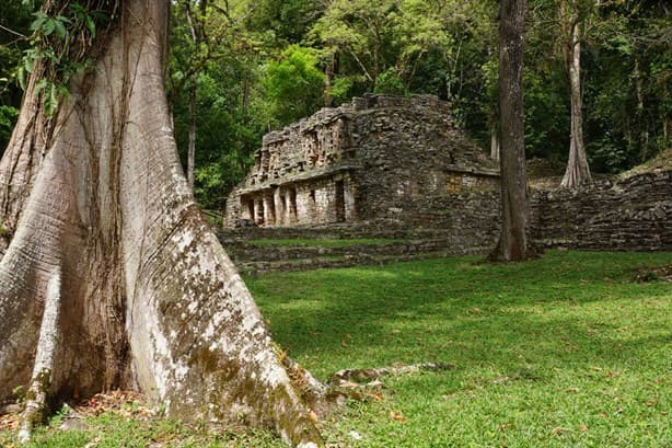 La magia de la naturaleza en México: Monumentos Naturales que debes conocer