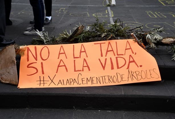 No creen en plan de remediación para Xalapa del Gobierno de Veracruz