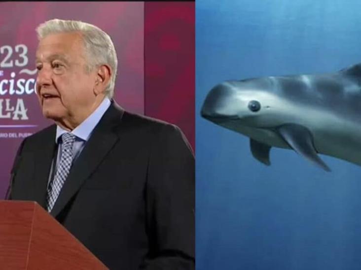 Agradece López Obrador a Biden no aplicar aranceles por cuidado de vaquita marina