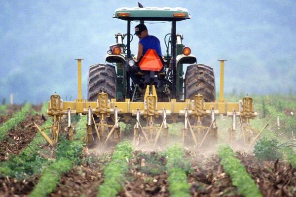 Ligero avance de la economía veracruzana