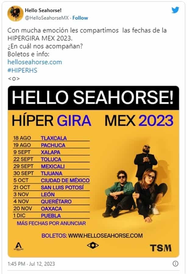 Hello Seahorse! en Xalapa: Precios y todo lo que debes saber