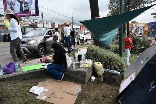 SIOP dice que vecinos de Xalapa son mentirosos: tala no pasará a mayores, asegura