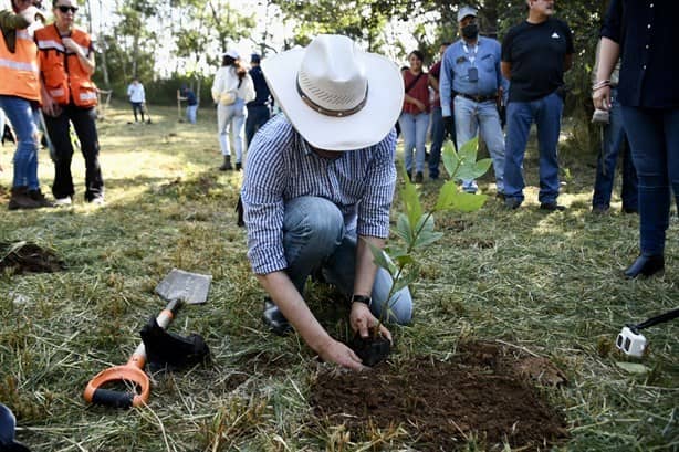 Cuitláhuac defiende ‘masacre ambiental de Ahued y arremete contra prensa