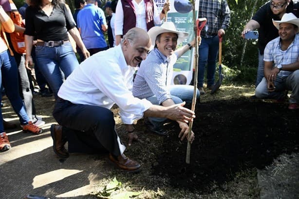 Cuitláhuac defiende ‘masacre ambiental de Ahued y arremete contra prensa