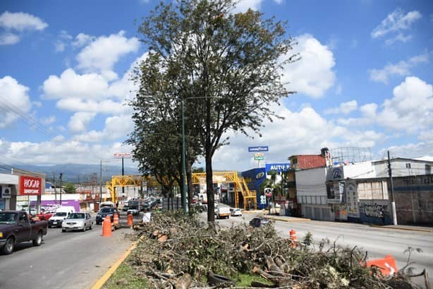 Ante amago de desalojo, ciudadanos mantienen plantón en obras de paso elevado en Xalapa