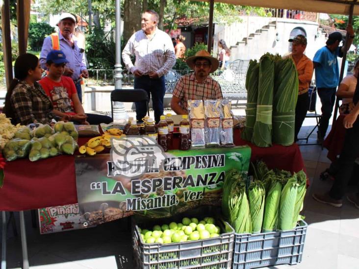 Alertan por crítica disminución de abejas en Misantla