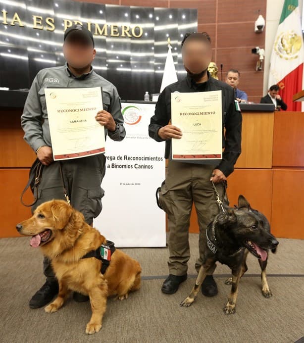Día del Perro: entregan reconocimiento a binomios caninos de la FGR en el Senado de la República