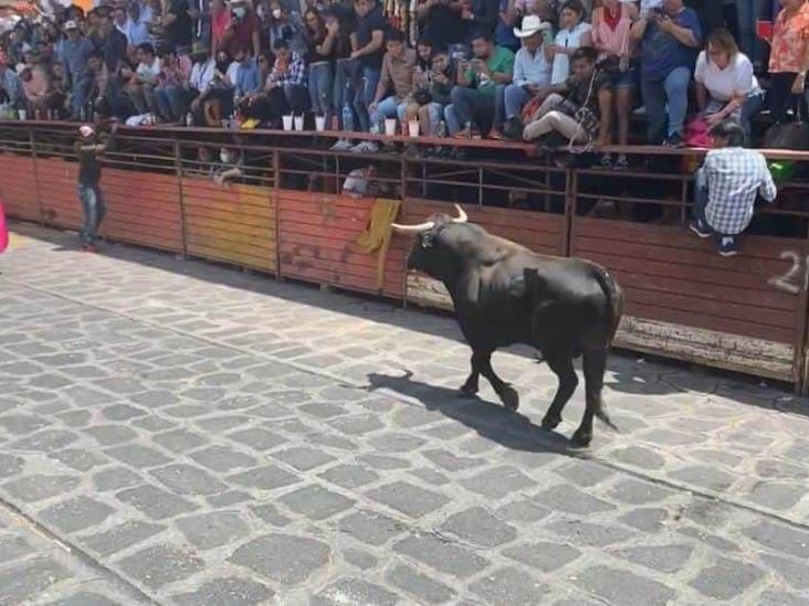 Agresiones a toros podrían desencadenar suspensión de Xiqueñada