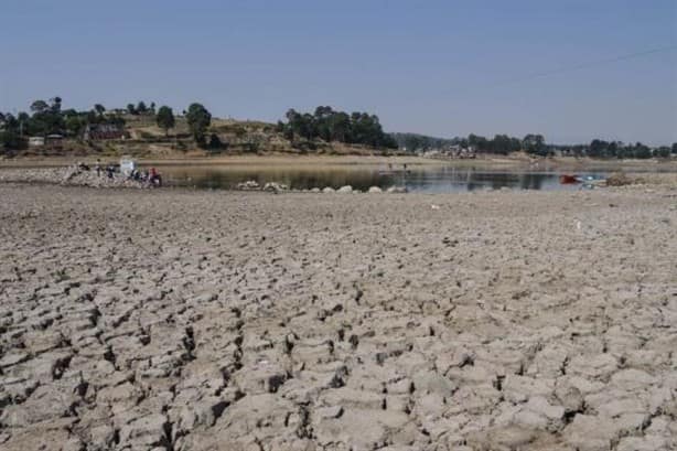 Aumentan municipios veracruzanos con sequía, revela Monitor Nacional