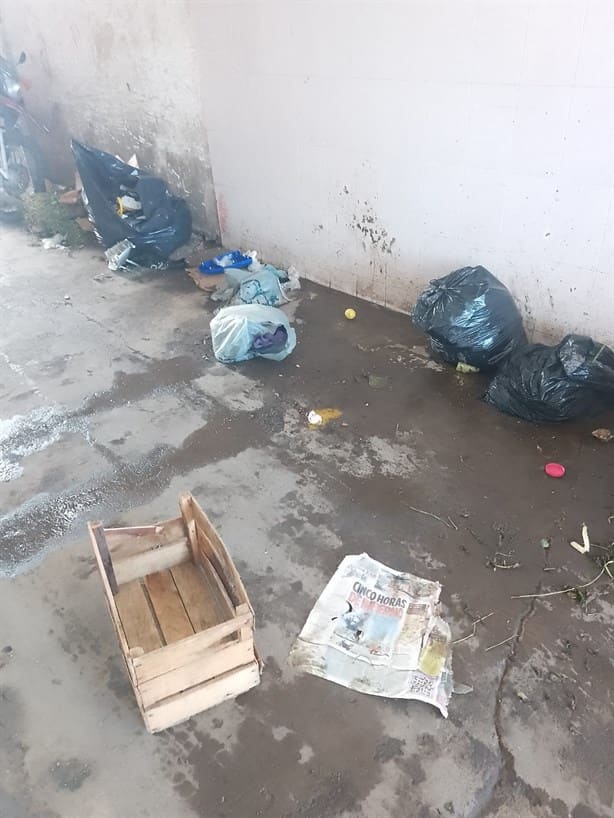 Mercado Malibrán: basura y moscas ahuyentan a clientes en Veracruz