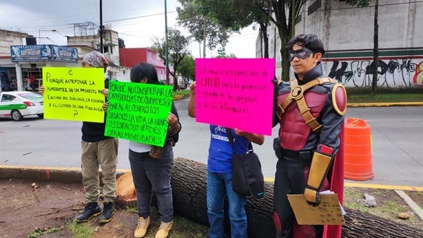 Árboles caídos en Xalapa, activistas en pie: ¡No somos 24, somos miles!, refutan a Cuitláhuac (+Video)
