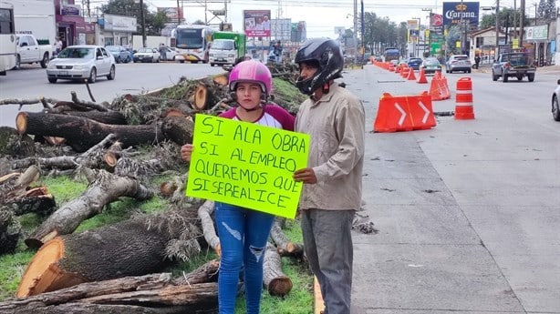 Orden de juez de suspender tala en Xalapa causa desempleo, reclama obrero espontáneo