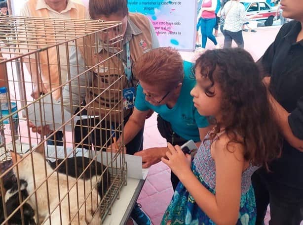 ¿Buscas mascota? ¡Habrá ‘Feria Intermunicipal de Adopción Responsable’ en Río Blanco!