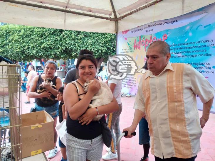 ¿Buscas mascota? ¡Habrá ‘Feria Intermunicipal de Adopción Responsable’ en Río Blanco!