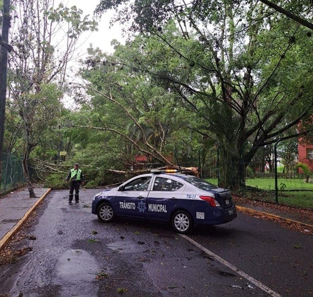 Fuerte lluvia deja diversas afectaciones en Córdoba