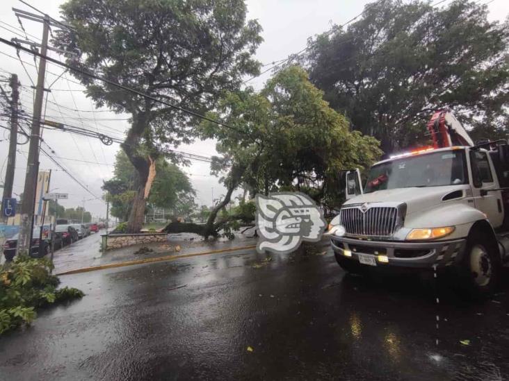 Fuerte lluvia deja diversas afectaciones en Córdoba