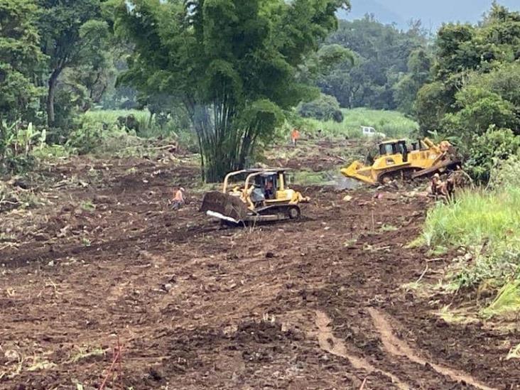 Por gestión de Eric Cisneros, Libramiento en Coatepec tumbará más de mil 200 árboles; en Xalapa  64 (+Video)