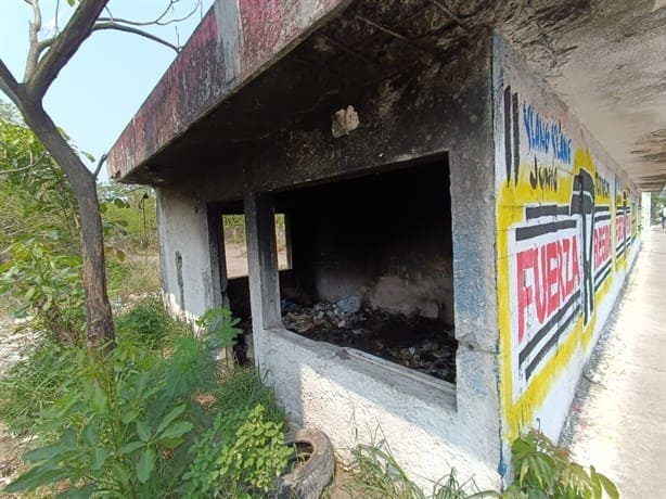 Temen por casas abandonadas en Las Amapolas, en Veracruz