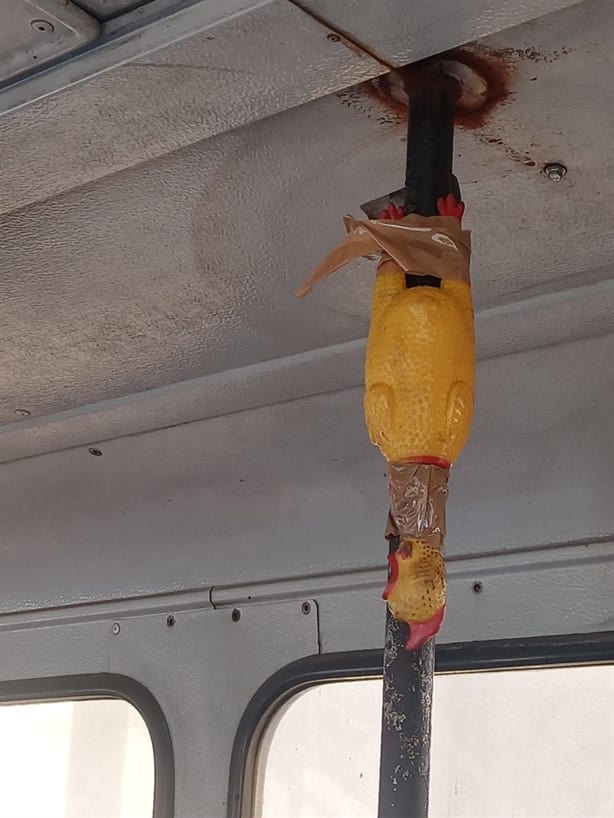 A falta de timbre le ponen un “pollo chillón” a camión urbano en Veracruz