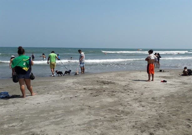 Alertan por dos playas de Veracruz que superan el límite de bacterias fecales