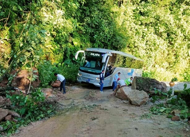¡Cuidado! Se registra derrumbe en la carretera Misantla-Xalapa