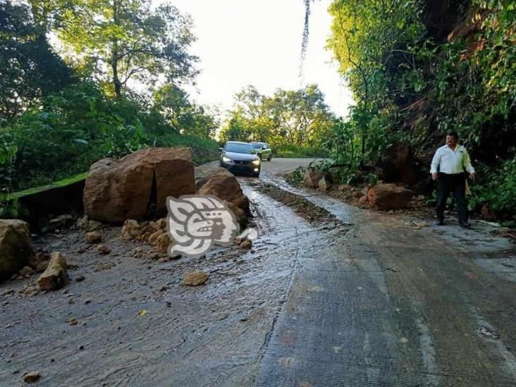 ¡Cuidado! Se registra derrumbe en la carretera Misantla-Xalapa