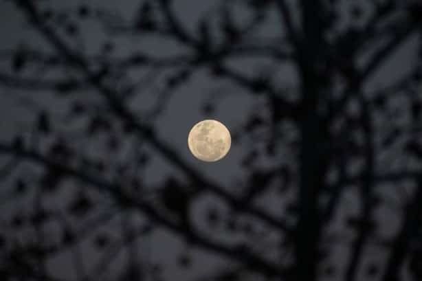 Las mejores fotos de la Luna de Esturión de anoche alrededor del mundo