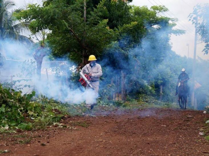 Veracruz es ya segundo lugar nacional en casos de dengue