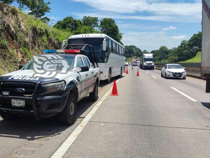 Aseguran a medio centenar de migrantes en la Veracruz-Córdoba