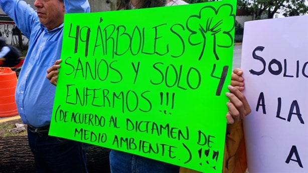 Da juez permiso para seguir tala en Xalapa, celebra Gobernador de Veracruz