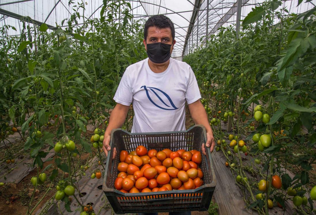 En niveles récord las exportaciones agroalimentarias en México