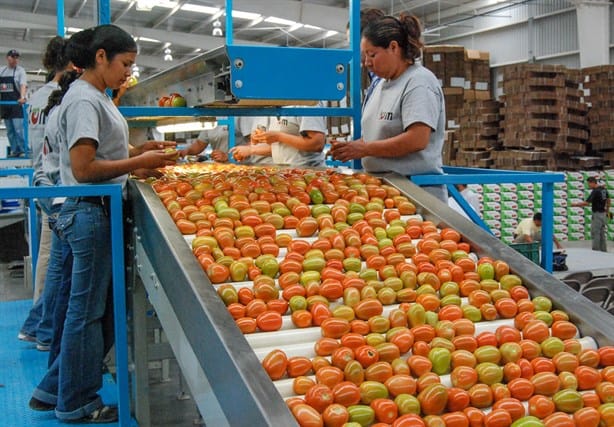 En niveles récord las exportaciones agroalimentarias en México