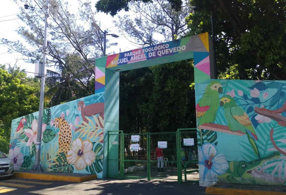 Estas actividades podrás realizar si visitas el zoológico Miguel Ángel de Quevedo en Veracruz