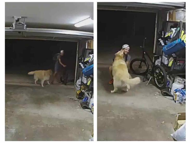 Entra a robar una casa y se hace amigo del ‘perro guardián’ (+Video)