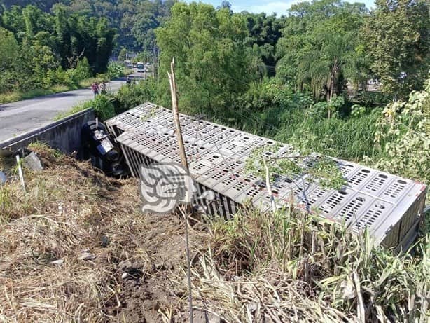 Tráiler derriba postes y cae a desnivel en la Orizaba-Córdoba; conductor queda prensado (+Video)