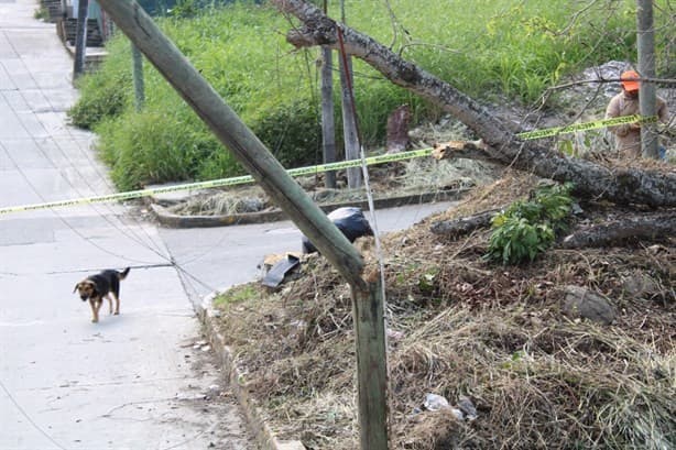 Poste de telefonía a punto de colapsar pone en riesgo a habitantes de Misantla