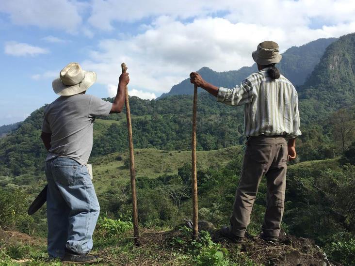 Productores de Veracruz, atrapados en laberinto de la comercialización