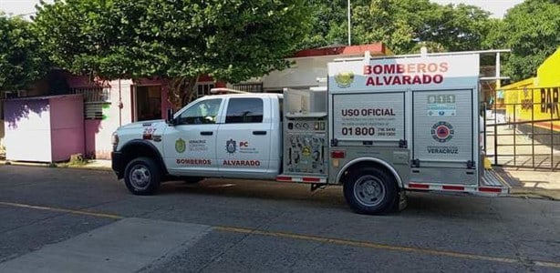 Retiran panales de avispas en una casa en remodelación