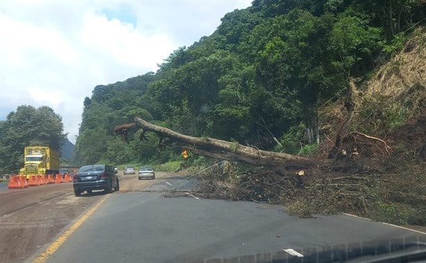 ¡Atento! Desgajamiento de cerro bloquea la autopista Puebla-Orizaba