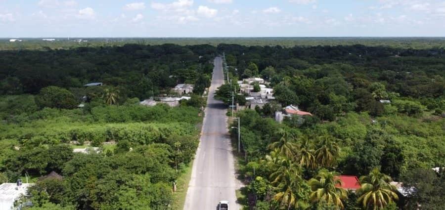 Invierten 144 mdp para conservación de Áreas Naturales Protegidas en Tren Maya